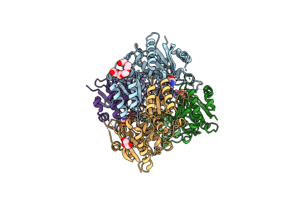 6PAE image