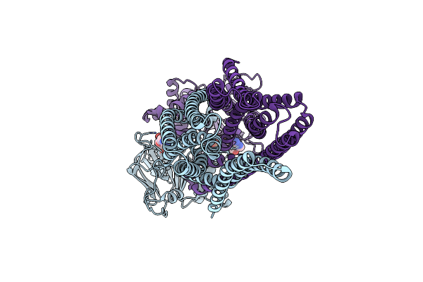 6PAO image