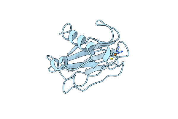 6PAZ image