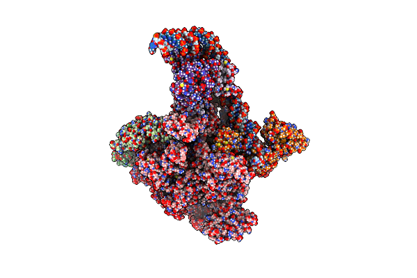 6PB5 image
