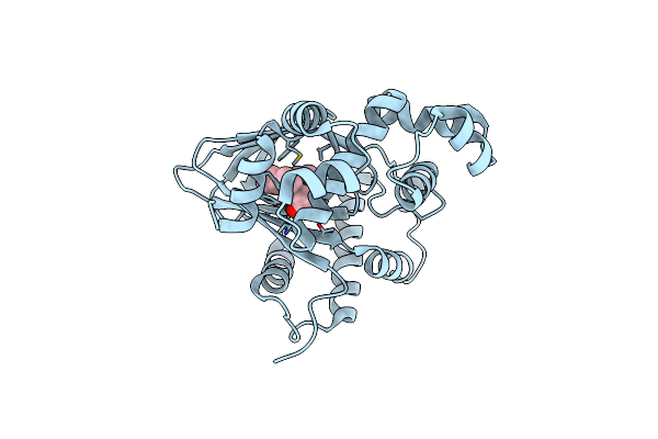 6PB9 image