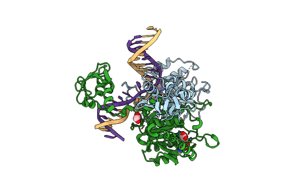 6PBD image