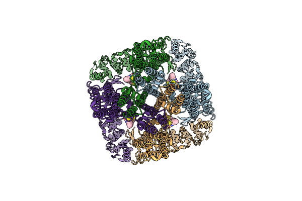 6PBF image