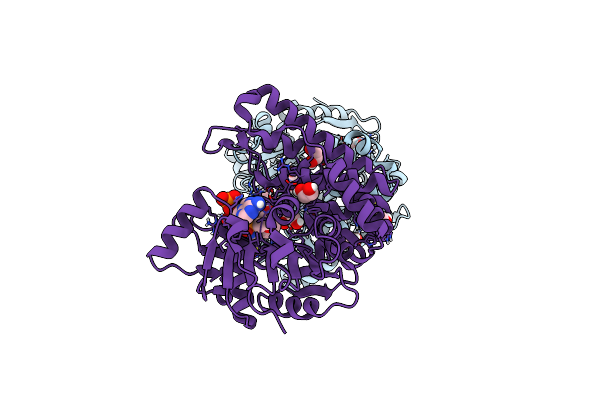 6PBM image