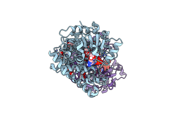 6PBP image