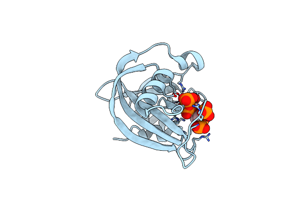 6PCK image