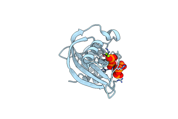6PCL image