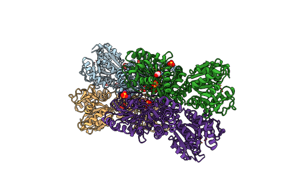 6PD1 image