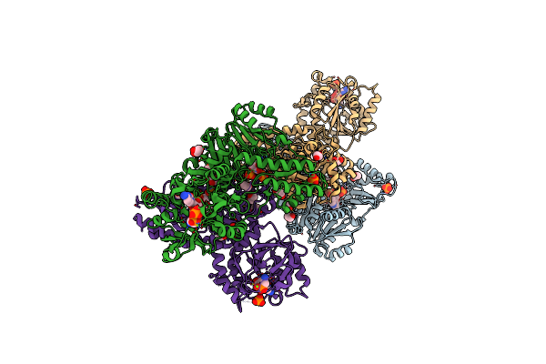 6PD2 image