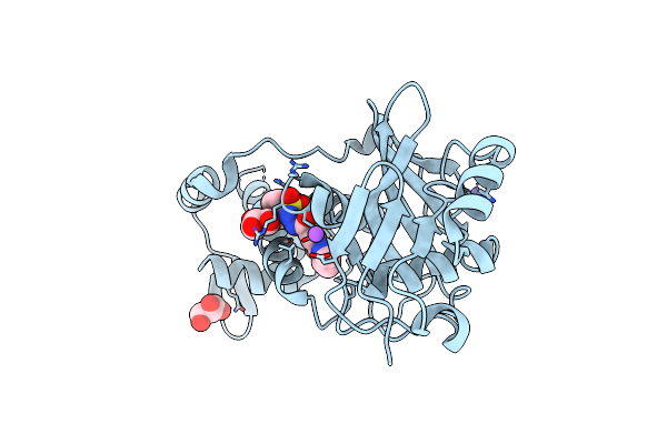 6PD9 image