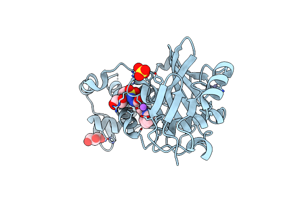 6PDA image