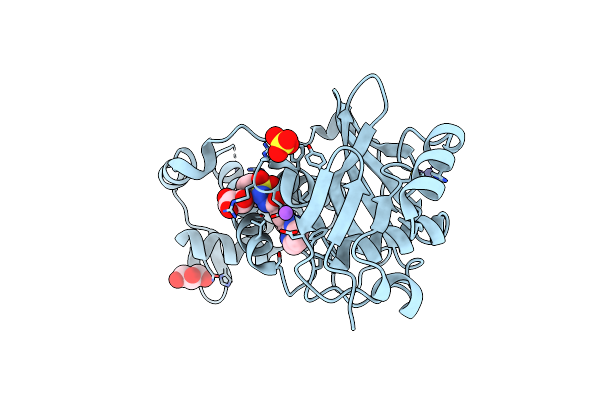 6PDB image