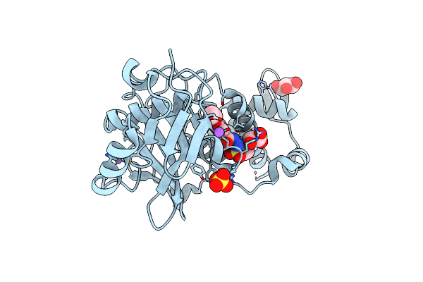 6PDC image