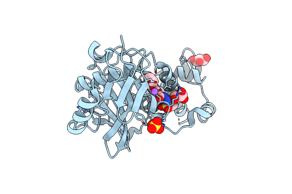 6PDD image