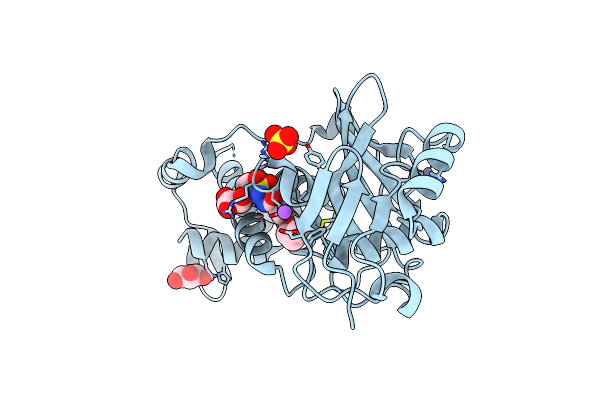 6PDE image