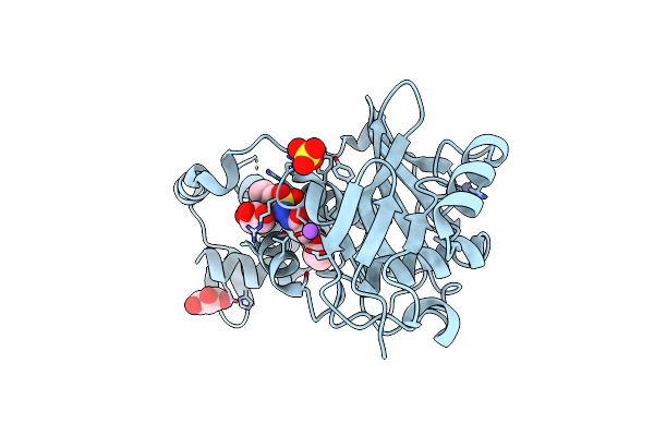 6PDG image
