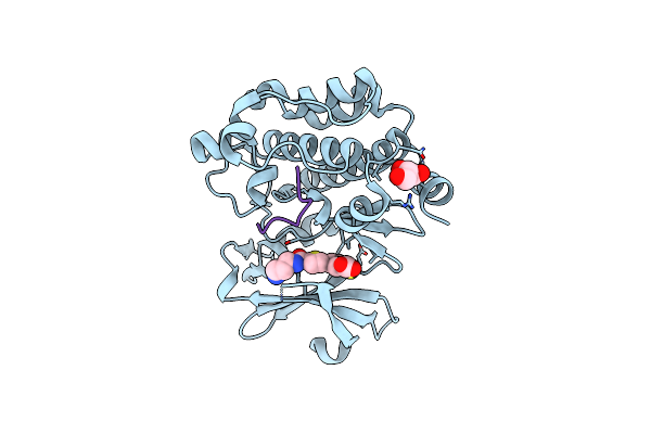6PDN image