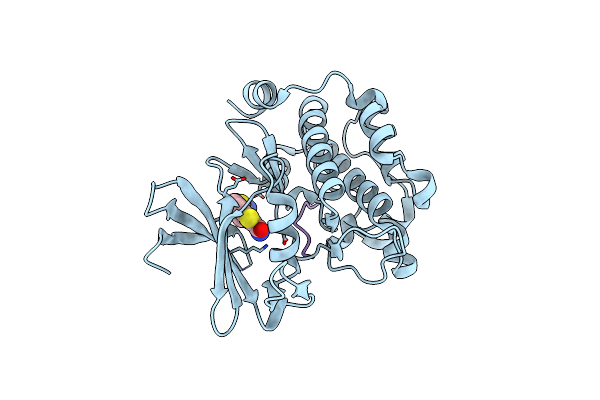 6PDO image