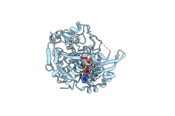 6PE3 image