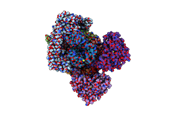 6PE5 image
