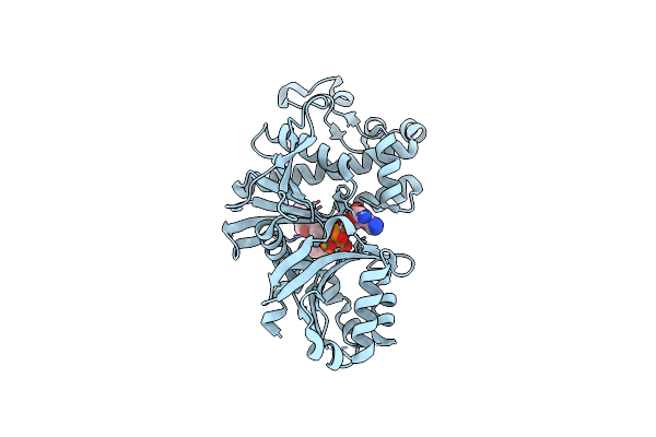 6PE6 image