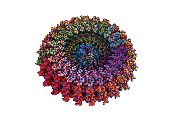 6PEM image