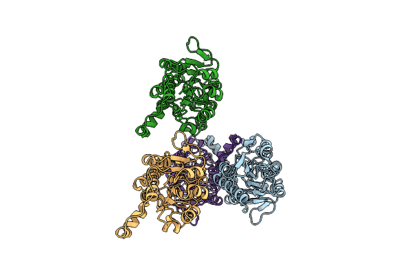 6PEX image