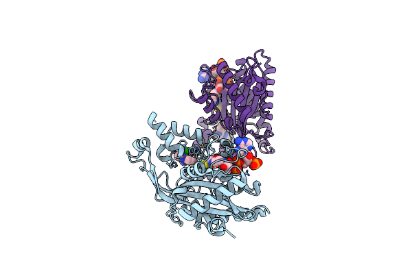 6PF1 image