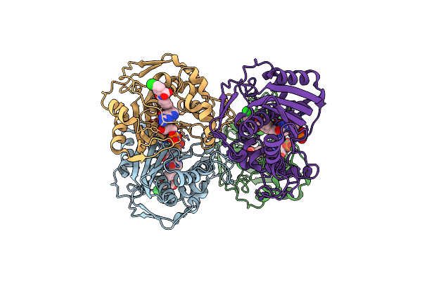 6PF3 image