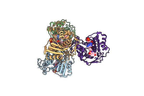6PF5 image