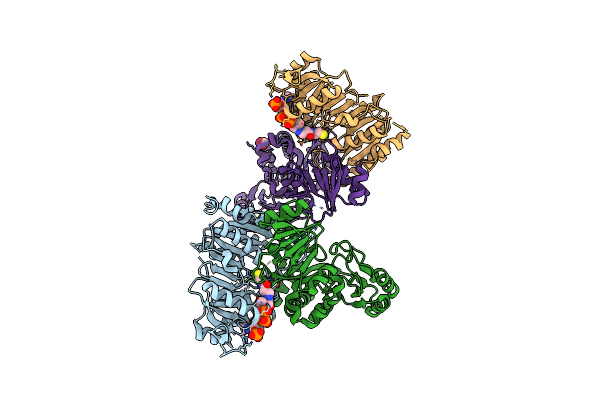 6PFN image