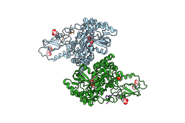 6PFO image