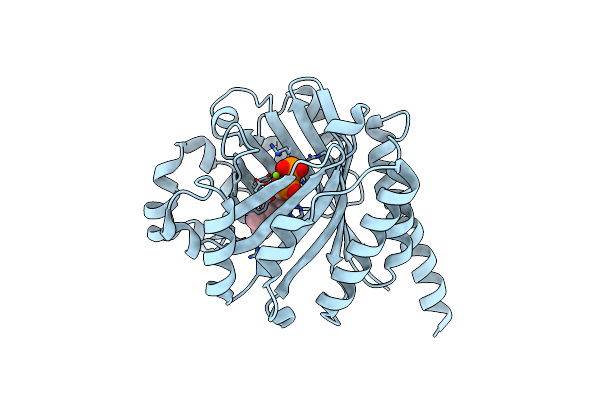 6PGN image