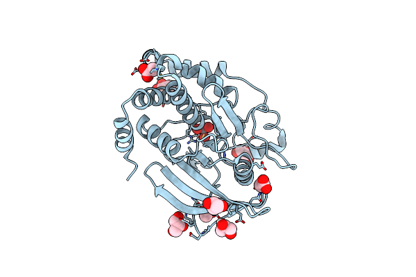6PHA image