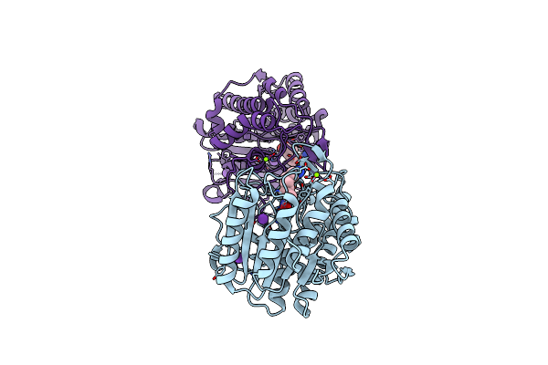 6PID image