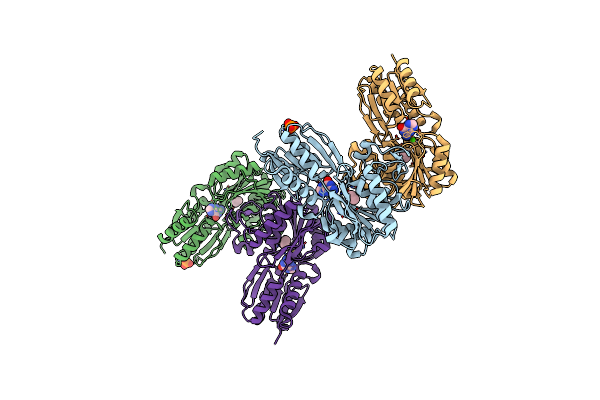 6PII image