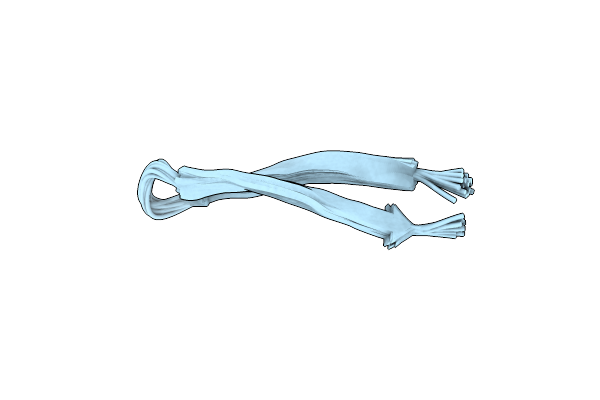 6PIO image