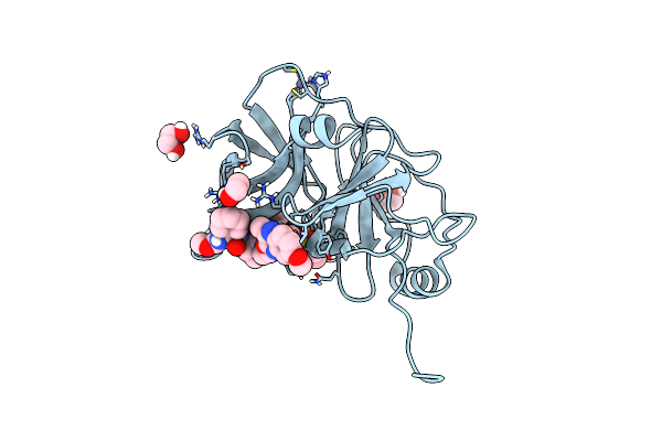 6PIU image