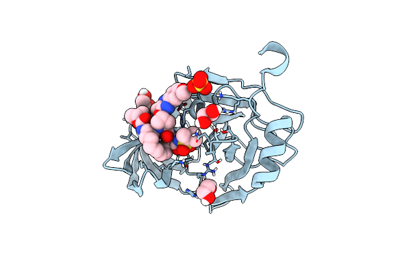 6PIV image
