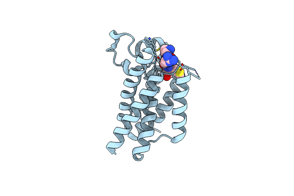 6PJ4 image