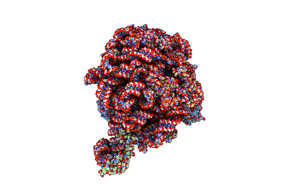 6PJ6 image