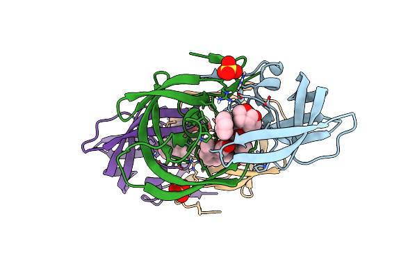 6PJC image