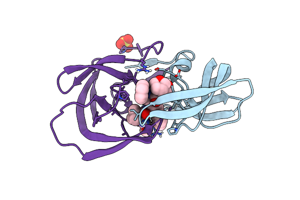 6PJD image