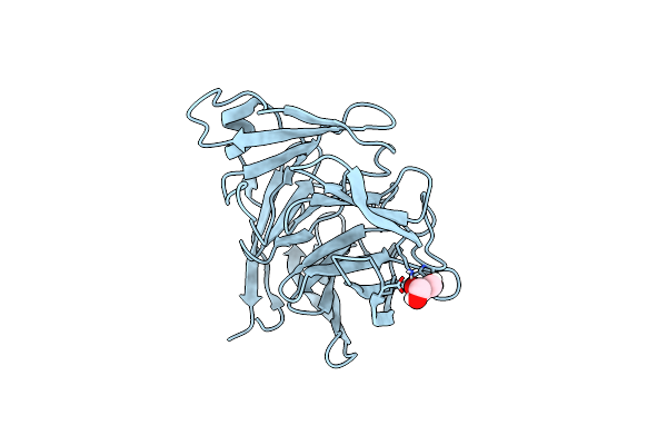 6PKF image