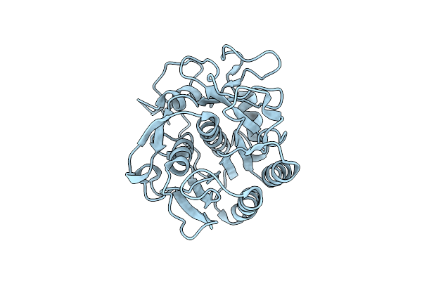 6PKL image