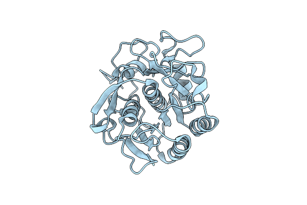6PKM image