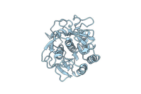 6PKO image