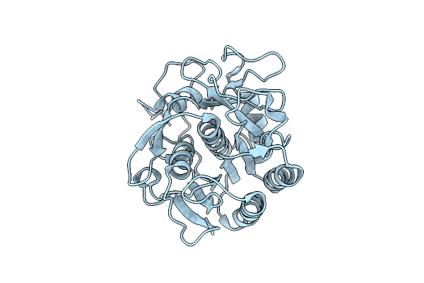 6PKP image