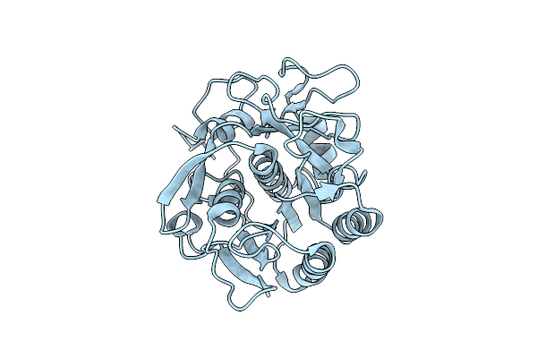 6PKT image
