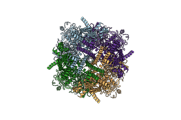 6PKV image